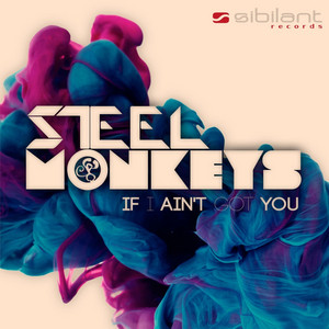 Steel Monkey